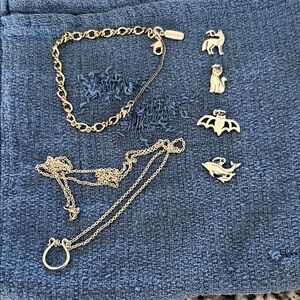 James Avery Silver Bracelet with Charms and Charm Necklace